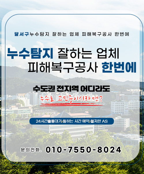누수탐지 잘하는 업체 피해복구공사 한번에 모바일 비주얼 0